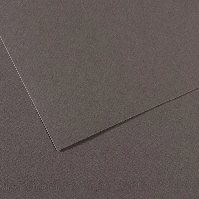 Image de Canson Mi-Teintes 50 x 65 cm Gris Ardoise 345 160 g Papiers colorés