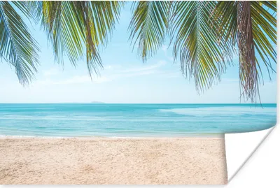 Produktbild von MuchoWow® Poster Palmenblatt - Strand - Tropisch 60x40 cm - Schlafzimmerdekoration