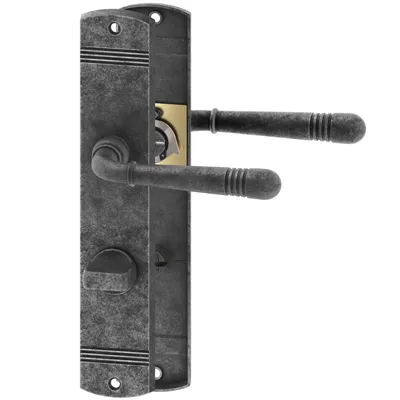 A close-up studio shot of a door handle set against a white background.
