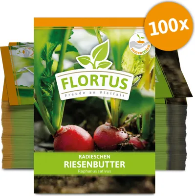 Produktbild von Radieschen Riesenbutter (100 Stück) | Radieschensamen von FLORTUS