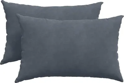 Immagine prodotto di vidaXL Cuscino per divano 2 pezzi grigio scuro 60 x 40 cm in tessuto a coste