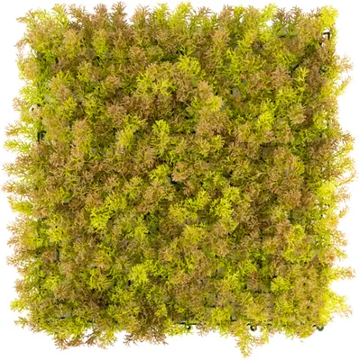 Produktbild von Primaflor Kunstpflanzen Wand MOOS Braun 50x50cm Mooswand Wanddekoration Pflanzenwand