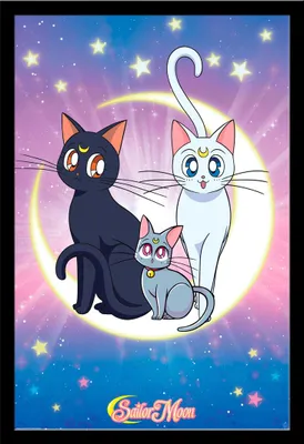 Produktbild von Sailor Moon - Poster - Luna, Artemis & Diana + Wechselrahmen, Shinsuke® Maxi MDF schwarz, Acryl-Scheibe