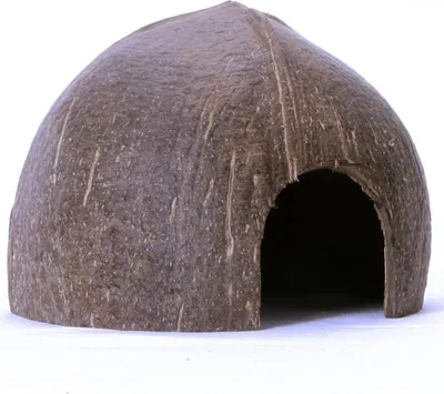 Immagine prodotto di Terrario CocoCave L - cocco mezzo liscio Terrario