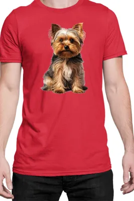 Produktbild von Herren T-Shirt Dogs Breeds Yorkshire Terrier Dog Breed 006, Man L / Rot
