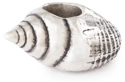 Produktbild von Trollbeads Der Ruf der Muschel Bead TAGBE-20307