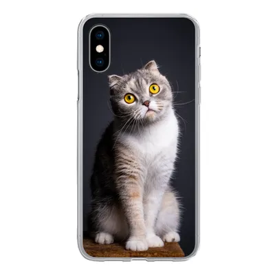 Produktbild von MuchoWow® Handyhülle Schutzhülle Hülle für iPhone X Katze - Augen - Licht Silikon Softcase Handy Hülle