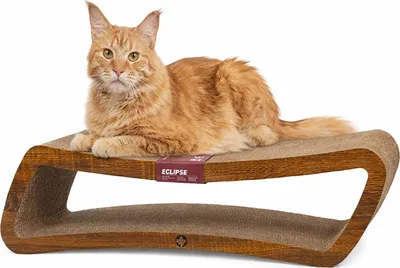 Produktbild von Kratzbrett ECLIPSE für Katzen · 84 x 24 x 23 cm · walnuss