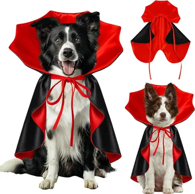 Produktbild von Hundekostüm - Umhang, Größe: Groß