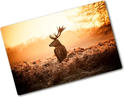 Produktbild von Tulup Glas Herdabdeckplatte - 80x52 cm - Glaskeramikkochfeld-Abdeckung Spritzschutz Glasabdeckplatte - Einteilig - Tiere - Hirsch Sonnenaufgang - Braun