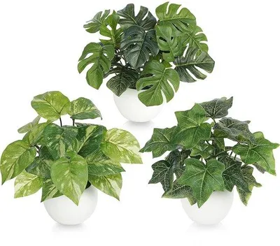 Immagine prodotto di Set di piante artificiali realistiche, 3 pezzi, per decorazione
