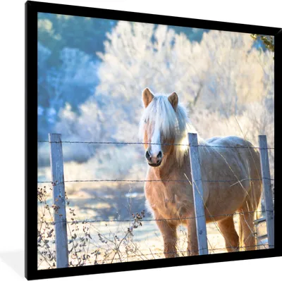 Produktbild von MuchoWow® Gerahmtes Poster Pferd - Winter - Schnee 40x40 cm - Poster mit Schwarzem Bilderrahmen Wandposter Rahmen Foto Bilder - Mit Rahmen - Wanddekoration Schlafzimmer