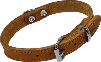Obrázok produktu pre Obojok "TABIL" koňak 35 cm (26-31 cm), 14 mm
