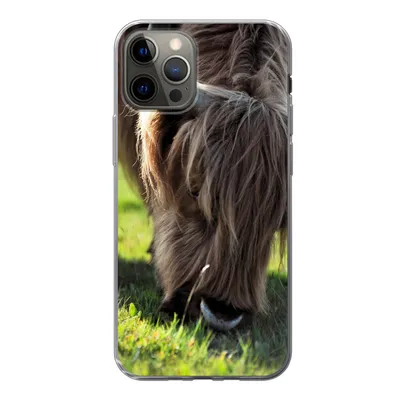 Produktbild von MuchoWow® Handyhülle Schutzhülle Hülle für iPhone 13 Pro Schottischer Highlander - Hörner - Sonne Silikon Softcase Handy Hülle - Handy-Tasche