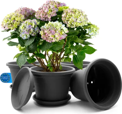 A set of four dark gray planters with a hydrangea plant in one of them, set against a white background.