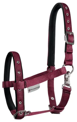 Immagine prodotto di Cavezza per puledri Waldhausen Comfort