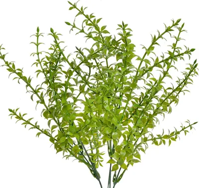 Immagine prodotto di Pianta artificiale Clayre & Eef 40 cm plastica verde