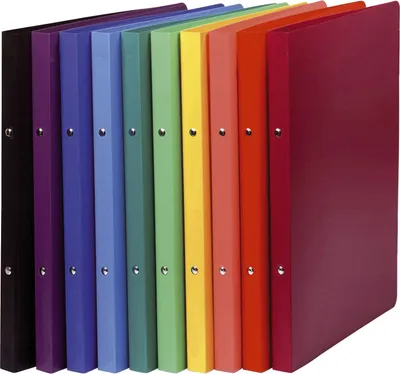 Immagine prodotto di 20x EXACOMPTA 54199E Ringbuch A4 2-Ring 15mm farbig sortiert