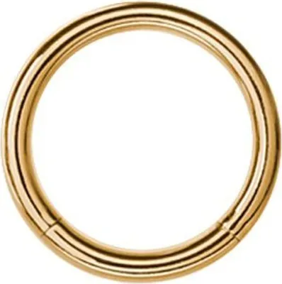 Produktbild von Karisma Gold Titan G23 Segment Ring Piercing Septum Nasenpiercing Ohrpiercing Intim 1,2mm - 10.0 Millimeter