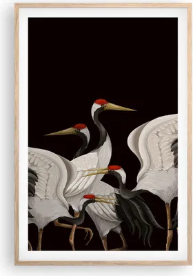 Produktbild von Gerahmtes Poster - Rahmen in heller Eiche - Kraniche Vögel Grafiken - 61x91,5 cm - Wand Bild - Wanddeko - Wandbilder - Kunstposter - Wandposter - Bilderrahmen - Bilder - Kunstdruck - P2NPA61x91-4748
