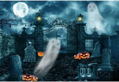 Obrázok produktu pre Fotopozadie na Halloween, motív tekvíc, rozmer 213 x 152 cm, vhodné na fotografovanie