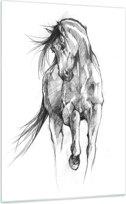 Produktbild von Bilder auf glas - Einteilig - Pferd Galopp Tier - 70x100cm - Glasbilder - Wandbilder - Bilder - zum Aufhängen bereit - Wanddekoration aus Glas - Glas Bilder - Wandbild auf Glas - GPA70x100-5080