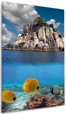 Produktbild von Wallario Premium Leinwandbild Exotische Fische im Meer in Größe 60 x 90 cm