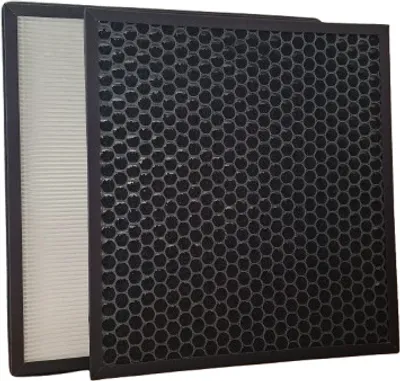 Image de Jeu de 2 filtres SHARP FZ-F30HFE / FZ-F30DFE pour Sharp KC-F32EU-W FA44