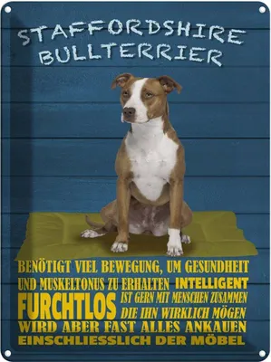 Produktbild von vianmo Blechschild 40x30 cm Staffordshire Bullterrier Hund Spruch Zitat