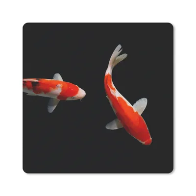Produktbild von MuchoWow® Mauspad Mousepad Zwei bunte Koi-Karpfen auf schwarzem Hintergrund 20x20 cm - Mousepads - Maus Mat - Pad - Mausunterlage - Desk Mat - Bureauartikeln