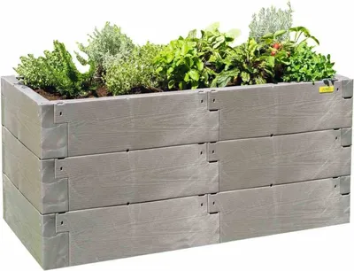A raised garden bed filled with plants.
