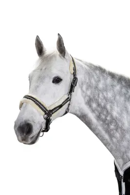 Produktbild von Eskadron PURE Halfter " GLOSSY DOUBLE PIN FAUXFUR " , black Größe - X-Warmblut