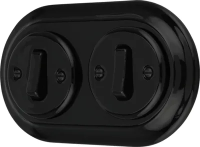 Image de Interrupteur rétro encastré en porcelaine, double, tout-en-un, SET série PR1 noir