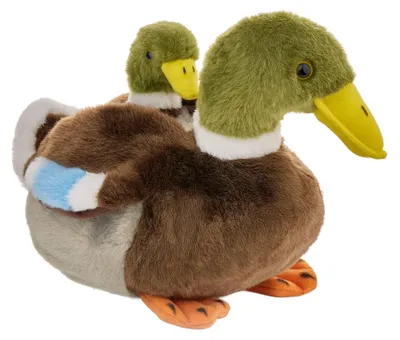 Zdjęcie produktu dla Maskotka Kaczka krzyżówka 20 cm
