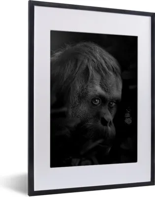Produktbild von MuchoWow® Gerahmtes Poster Nahaufnahme eines Affen im Dschungel - schwarz und weiß 30x40 cm - Poster mit Schwarzem Bilderrahmen Wandposter Rahmen Foto Bilder - Wandposter Schlafzimmer