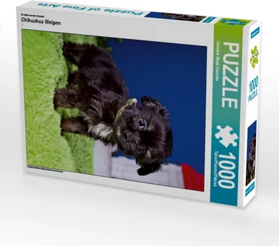 Produktbild von Calvendo Ein Motiv aus dem Kalender Chihuahua Welpen 1000 Teile Puzzle hoch 480x640mm, Wejat-Zaretzke Gabriela; 7278578