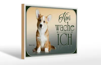 Produktbild von Holzschild Hund 30x20cm Chihuahua hier wache ich