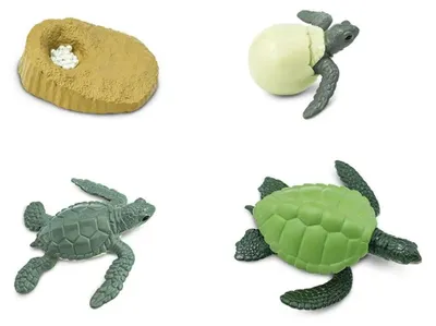 Produktbild von Safari spielset Lifecycle Schildkröte junior 4-teilig