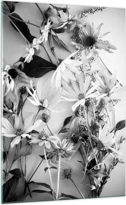 Produktbild von Bilder auf glas - Einteilig - Blumen Schwarzweiß Fotografie - 70x100cm - Glasbilder - Wandbilder - Bilder - Wanddekoration aus Glas - Glas Bilder - Wandbild auf Glas - GPA70x100-4740