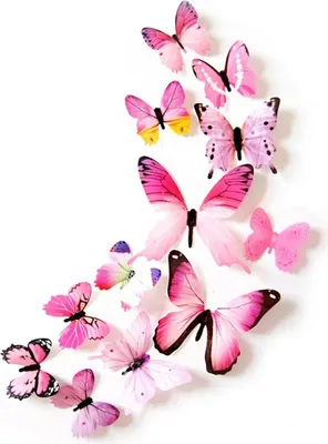 Wandtattoo Schmetterlinge 4er Set - Selbstklebend & Abziehbar 30x30cm