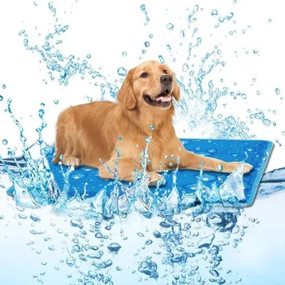 Produktbild von 50x40cm - Kühlgel für Hunde und Katzen - Premium Kühlgel Hund - Hunde-Kühlgel für draußen - Blau - Kühlgel-Decke - Rechteckig Blau - Kühlgel für Hunde & Katzen - Kühlgel für Haustiere - Non-flow Coolgel - Tier-Kühlmatte