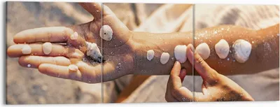 Produktbild von Bild auf Leinwand - Leinwandbild - 3 Teile - Muschel Hand Strand - 150x50cm - Wand Bild - Wanddeko - Wandbilder - Leinwanddruck - Bilder - Wanddekoration - Leinwand bilder - Wandbild - CA150x50-5102