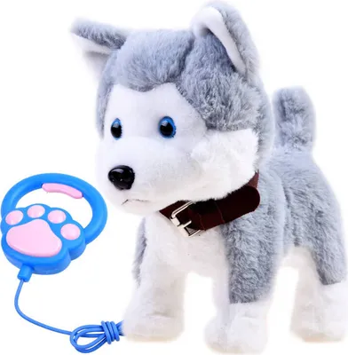 Image de Husky interactif en laisse ZA3888
