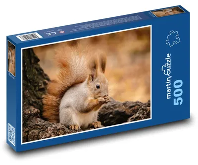 Zdjęcie produktu dla martinpuzzle - Puzzle 500 elementów - Veverka