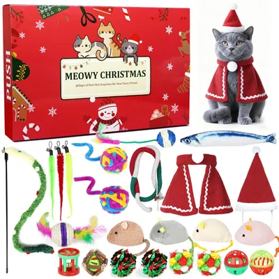 Produktbild von Adventskalender 2025, 24 Tage, Spielzeug, für Kinder