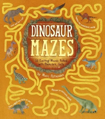 Produktbild von Dinosaur Mazes