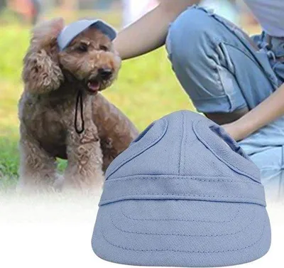 Produktbild von Hundepet Baseballhut für Hunde mit Sonnenbeschutzung und Ohrenklappen für Welpen - blauw, L-Größe.