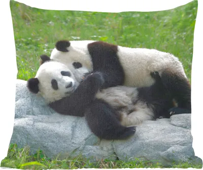 Produktbild von MuchoWow® Zierkissen Sofakissen Wohnzimmer Dekokissen 45x45 cm Pandas - Gras - Stein - Schlafpolster - Polster für das Sofa