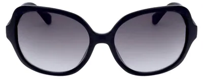 Produktbild von Calvin Klein Collection Mod. Ck19538Sn Black