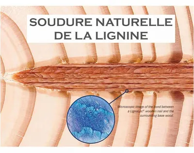 Image de 3 060 LignoLoc Bois - 3.7x55 mm - D-Work